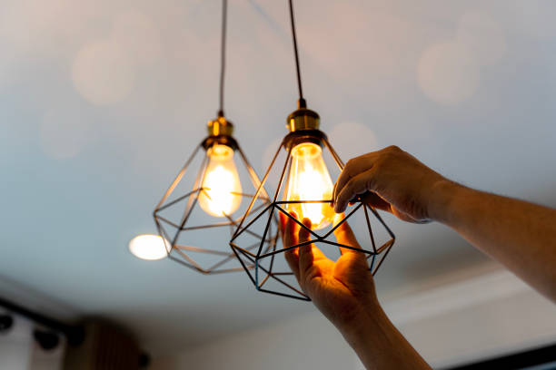 Best Residential Electrician Services  in West Lealman, FL