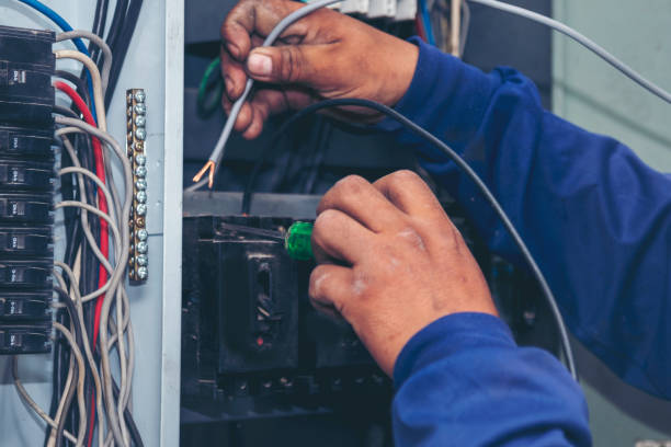 Best Electric Panel Repair  in West Lealman, FL